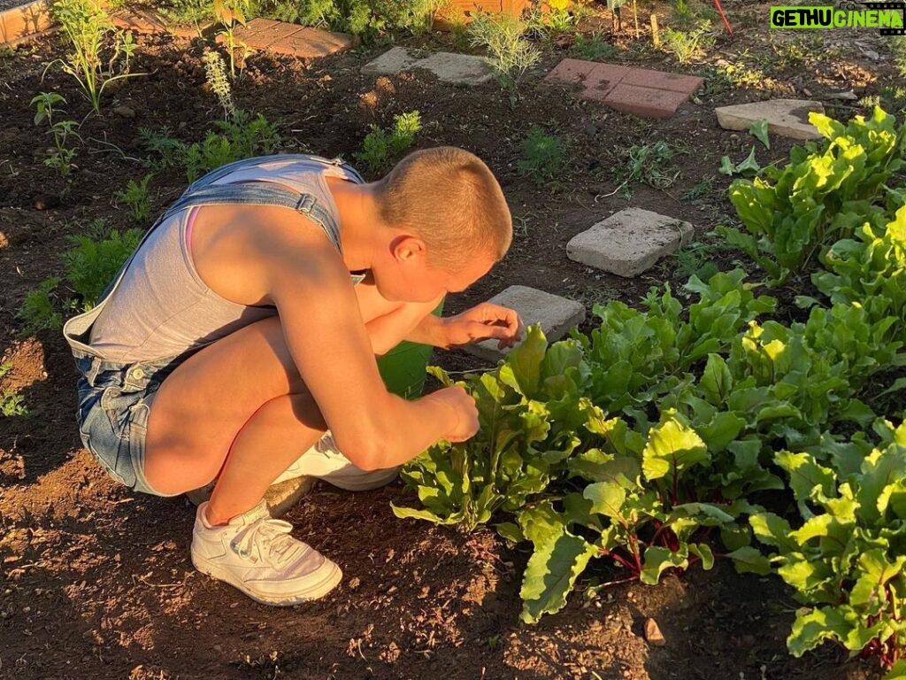Rose Namajunas Instagram - Community garden coming along. Nature has been great to us this season. It’s been pretty self sufficient and low maintenance so far. Grateful and blessed I can disperse my energy to other important things 💕