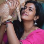 Roshini Haripriyan Instagram - My chella ‘இஞ்சி’ kutti 🫶🏼♥️ #roshniharipriyan #inji #orangecat #cat Chennai, India