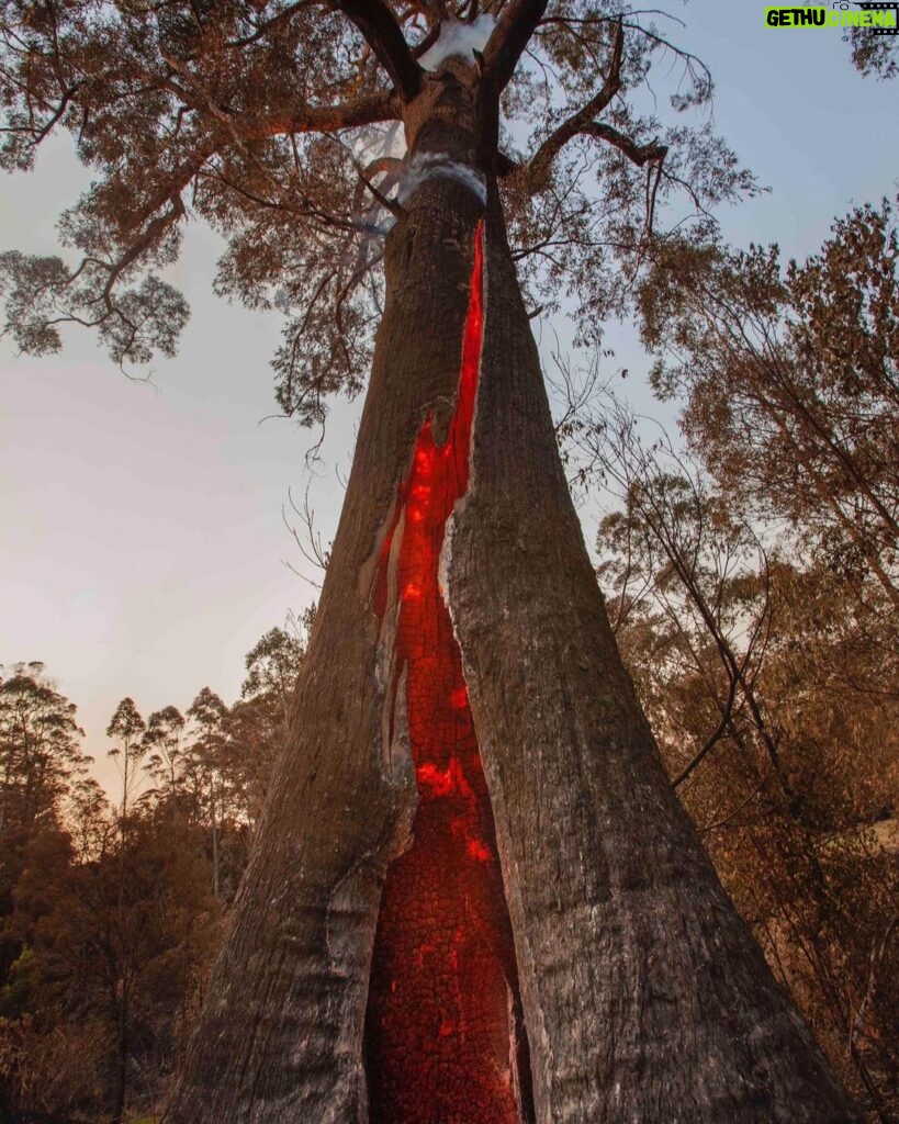 Russell Crowe Instagram - Still burning... they say a wind change might crank things up again in the valley. I hope wherever you are in Australia, or California or anywhere else facing bushfires , that you and yours remain safe.