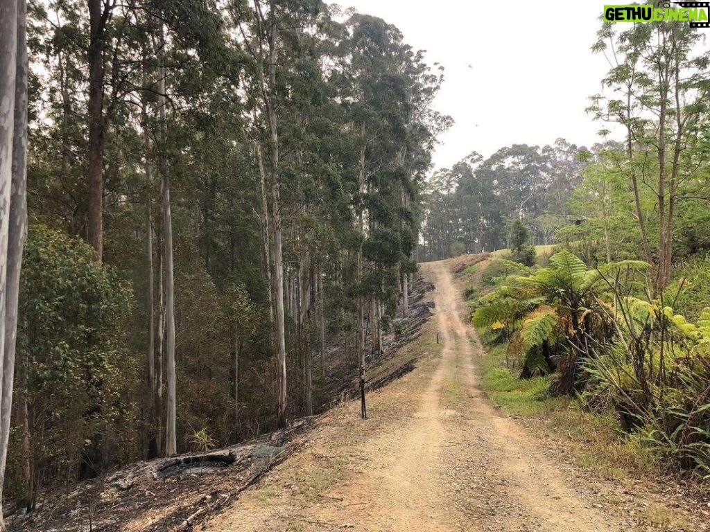 Russell Crowe Instagram - We cut this firebreak 10 years ago. It did it’s job exactly.