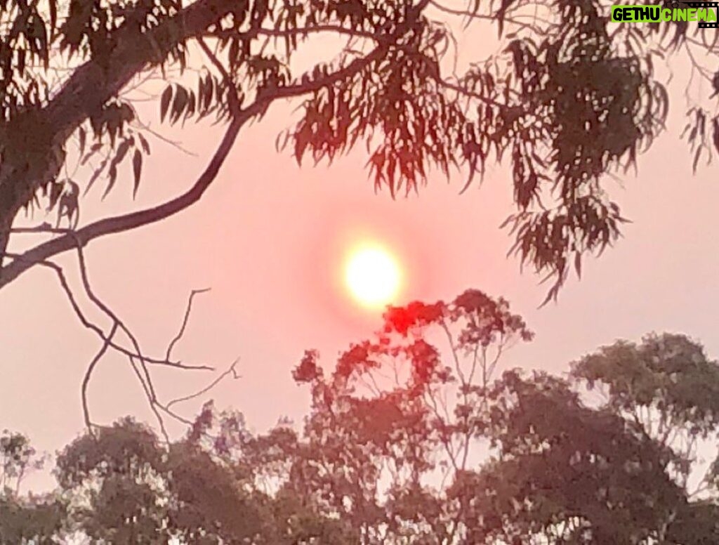 Russell Crowe Instagram - Bushfire sun. Fires to the north, north west, west and Southwest ... not even spring yet ...