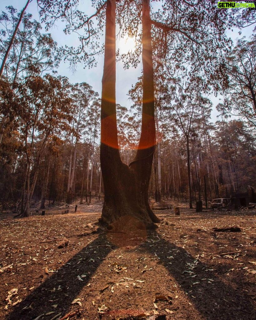 Russell Crowe Instagram - Still burning... they say a wind change might crank things up again in the valley. I hope wherever you are in Australia, or California or anywhere else facing bushfires , that you and yours remain safe.