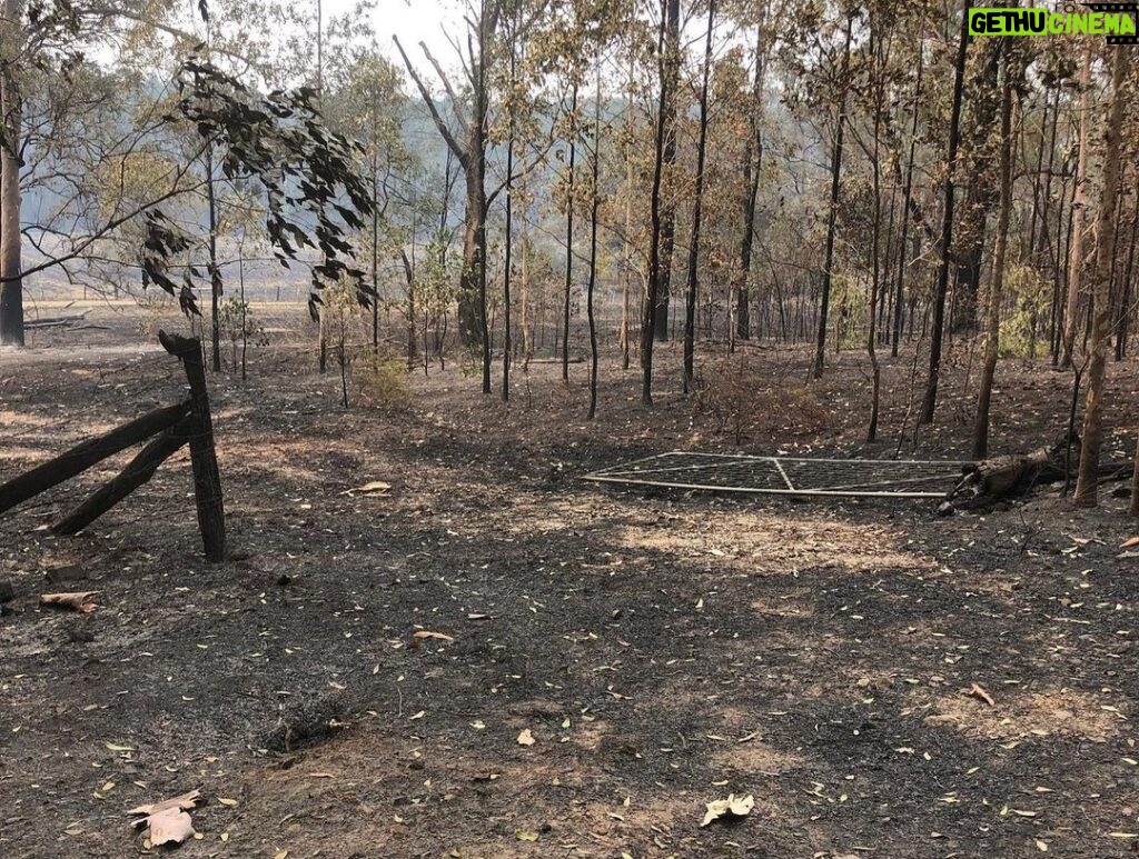 Russell Crowe Instagram - We cut this firebreak 10 years ago. It did it’s job exactly.