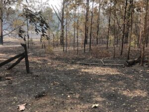 Russell Crowe Instagram - We cut this firebreak 10 years ago. It did it’s job exactly.