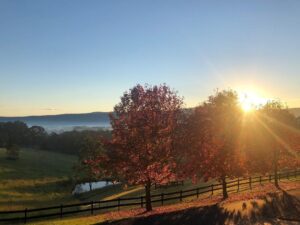Russell Crowe Instagram - This was my morning .
Seems selfish not to share. 
No filters just an iPhone and magic hour and Australia