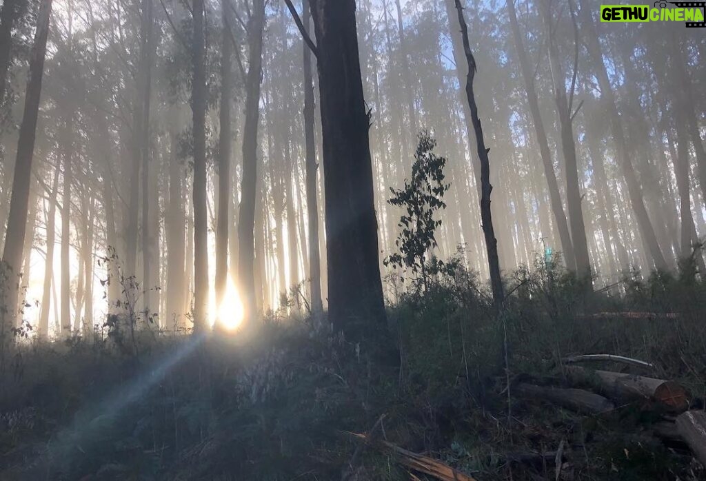 Russell Crowe Instagram - My office today