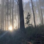 Russell Crowe Instagram - My office today