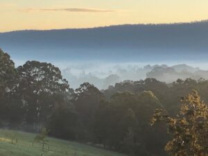 Russell Crowe Instagram - This was my morning .
Seems selfish not to share. 
No filters just an iPhone and magic hour and Australia