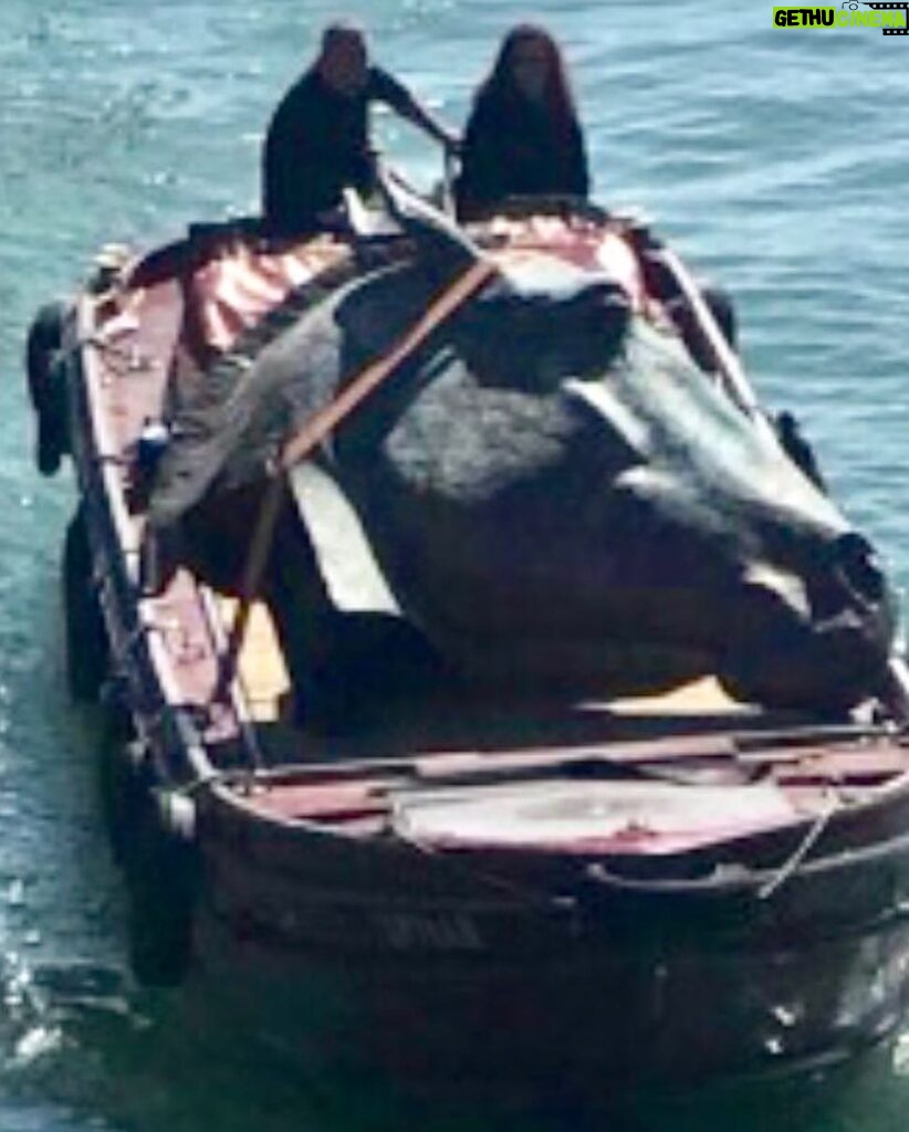 Russell Crowe Instagram - A Nick Fiddian-Green statue arriving in Venice.