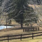 Russell Crowe Instagram - Normal winter and winter in drought