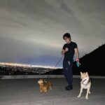 Ryan Higa Instagram - Late night walks.. the only walks in Vegas rn