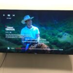Ryan Higa Instagram - I have a newfound respect for people who can ride horses at full speed... check out “Finding Ohana” on Netflix! I may or may not make the tiniest cameo looking COMPLETELY comfortable on a sprinting horse. Congrats on the success! @judeweng @kellyhu @alexaiono @keapeahuofficial @lindsayyywatson @owenvaccaro