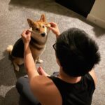 Ryan Higa Instagram - Happe boiii