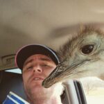 Ryan Kelley Instagram - Dinosaurs are real! Check out the link in my bio for more 🤪