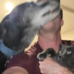 Ryan Kelley Instagram - There's very few things I enjoy more than coming home to animals