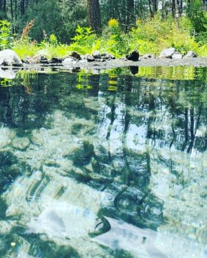 Ryan Phillippe Instagram - the rocky uphill hike was well worth the warm woodland baptism that followed
🙏
