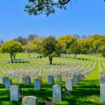 Ryan Phillippe Instagram - honoring the brave and fallen today. we’re thankful for all who serve and though we could never repay their sacrifices, we can try to make life better for the veterans still with us. for assistance caring for a veteran use the resources found at www.hiddenheroes.org and for emergency help call the veteran’s crisis hotline:18002738255 #MemorialDay #HiddenHeroes #veterans Los Angeles National Cemetery