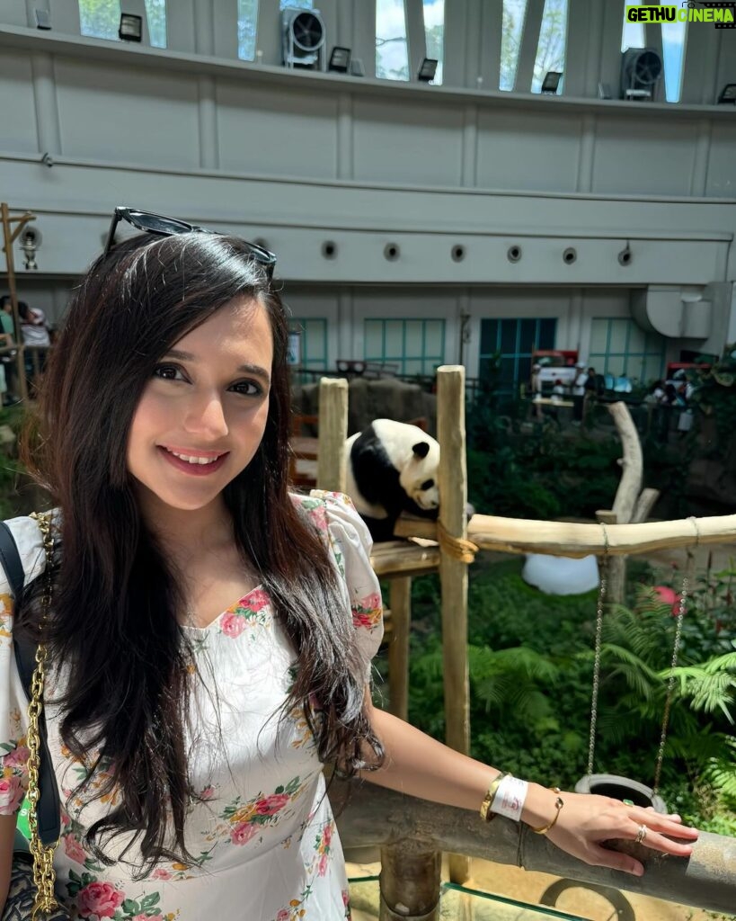 Sabila Nur Instagram - Panda is my spirit animal 🐼💕 Selangor Malaysia.