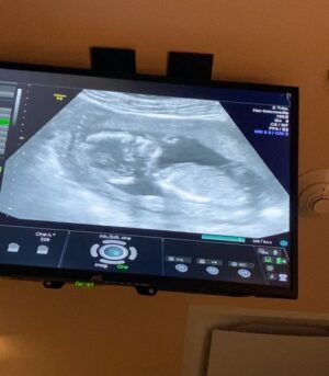 Sabrina Seara Instagram - Tenemos noticias 🤭🤭🤭🤭
Esta familia no puede estar más feliz ,
 Maxi será ascendido a hermano mayor en Julio . 

Gracias a todo el equipo @hola_mx y a nuestros cómplices que hicieron posible esta sorpresa! 

 Más de 4 meses de amor ❤️

#noseaslocachica #prontoseremos4 
#holamexico #pregnancyannouncement #pregnancyphotoshoot