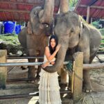Safa Kabir Instagram - Just look at my excitement I was so happy to meet them 🐘🤍 and getting a hug from them was magical. I heard that elephant symbolize strength, power, and fertility … And lephant hug is a symbol of strength and compassion, making this statue a perfect way to show your love and appreciation. #elephant #elephantlovers🐘🐘 #peace #power #stability