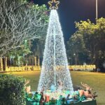 Safa Kabir Instagram - Wishing you all a Merry Christmas 🎄 and a New Year filled with hope, health, and happiness 🫶🏻