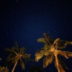 Safa Kabir Instagram - When was the last time you saw a sky full of stars?