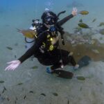 Safa Kabir Instagram - There is so much to see under the Sea. I really wanted to do it for a very long time. Finally it happened nicely and smoothly and I loved every bit of it. Thank you @blackturtledive For making one of my dreams come true. A lot of places need to be discovered, this time it was 12 meter in Tanote bay Thailand.