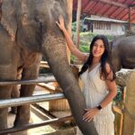 Safa Kabir Instagram - Had the most wholesome experience at the elephant sanctuary. Feeding these rescued animals made my heart melt 🐘🤍