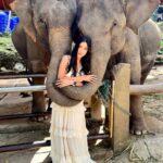 Safa Kabir Instagram - Just look at my excitement I was so happy to meet them 🐘🤍 and getting a hug from them was magical. I heard that elephant symbolize strength, power, and fertility … And lephant hug is a symbol of strength and compassion, making this statue a perfect way to show your love and appreciation. #elephant #elephantlovers🐘🐘 #peace #power #stability