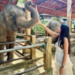 Safa Kabir Instagram - Just look at my excitement I was so happy to meet them 🐘🤍 and getting a hug from them was magical. I heard that elephant symbolize strength, power, and fertility … And lephant hug is a symbol of strength and compassion, making this statue a perfect way to show your love and appreciation. #elephant #elephantlovers🐘🐘 #peace #power #stability