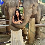 Safa Kabir Instagram - Just look at my excitement I was so happy to meet them 🐘🤍 and getting a hug from them was magical. I heard that elephant symbolize strength, power, and fertility … And lephant hug is a symbol of strength and compassion, making this statue a perfect way to show your love and appreciation. #elephant #elephantlovers🐘🐘 #peace #power #stability