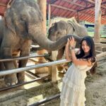 Safa Kabir Instagram - Just look at my excitement I was so happy to meet them 🐘🤍 and getting a hug from them was magical. I heard that elephant symbolize strength, power, and fertility … And lephant hug is a symbol of strength and compassion, making this statue a perfect way to show your love and appreciation. #elephant #elephantlovers🐘🐘 #peace #power #stability