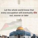 Sahar Al Sayegh Instagram - 🇵🇸🇵🇸🇵🇸🇵🇸🇵🇸🇵🇸