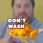 Sal Vulcano Instagram - Thursdays are for the BABES! BRAND NEW @heybabepod is out now with special guests @areyougarbage! For full ep, click on the link in bio or go to the No Presh channel on YouTube! Audio available on Spotify and iTunes etc. Subscribe to our channel and follow and rate us on iTunes! @chrisdcomedy @thehomelesspimp