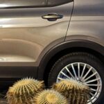 Salvatore Cinquegrana Instagram - a caccia di buoni propositi