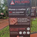 Salvatore Esposito Instagram - Dia 3 : Iguazu 🇦🇷 Vedere le cascate dal lato argentino è stato pazzesco . Siamo entrati nella Gola del Diavolo e ne siamo usciti vivi 😎 Iguazu Falls, Argetina