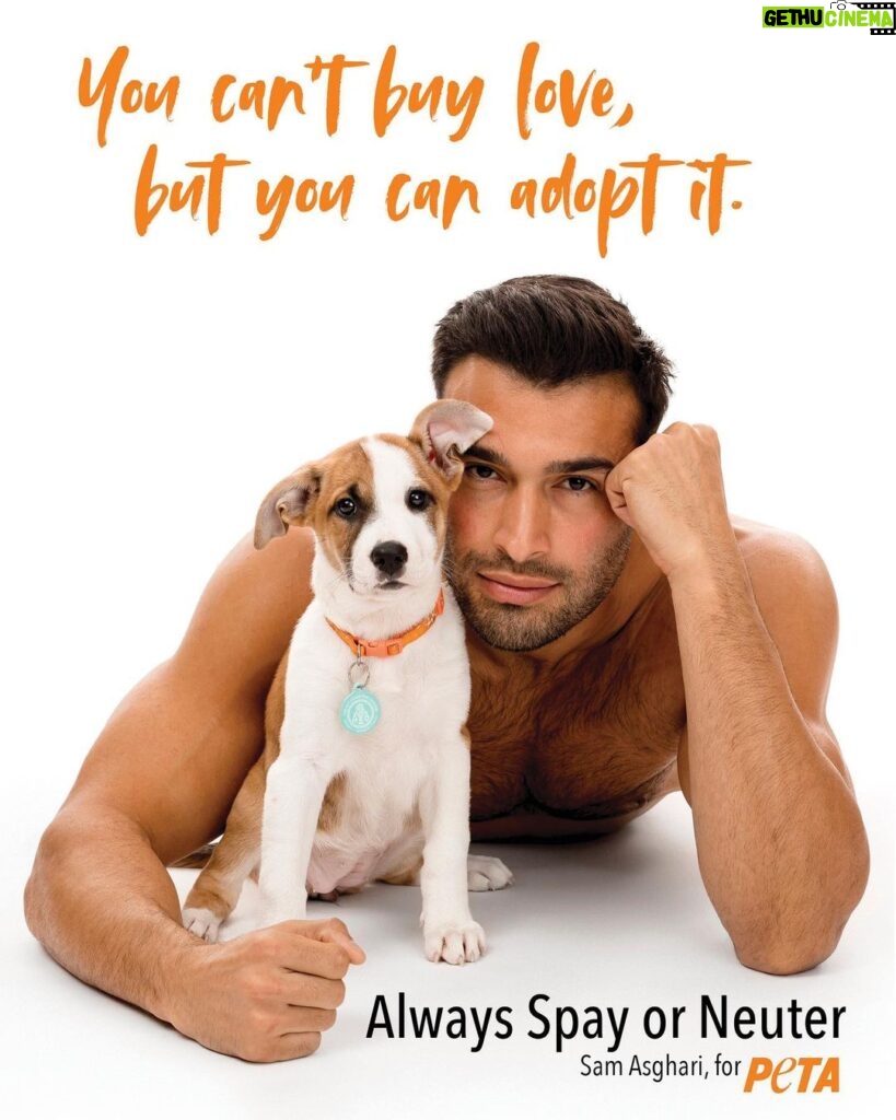 Sam Asghari Instagram - You can’t buy love! Lucky enough, actor @samasghari is showing the world that millions of dogs & cats are looking to be adopted into loving forever homes 🐶🐱🏠 Photographer 📸 Charlie Nunn Creative Director ✨ Greg Garry