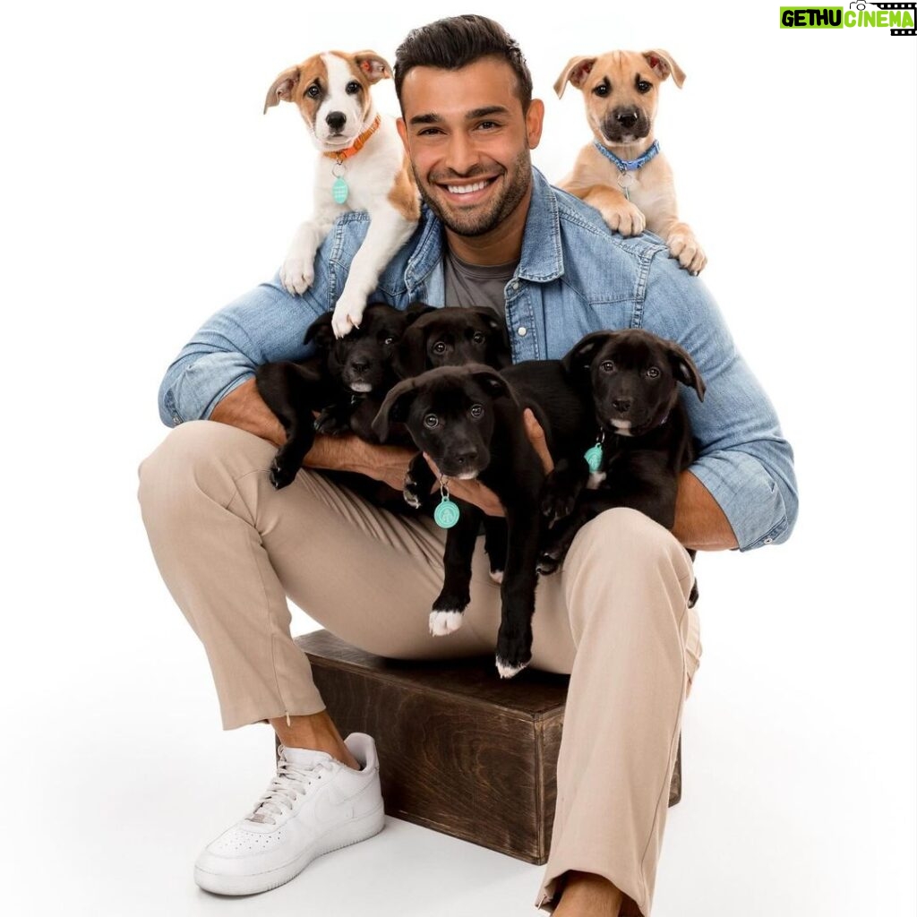 Sam Asghari Instagram - This was by far my favorite project. 📸 @charlienunnphotography 🐕🐾🐶 @hitlivingfoundation 📰 @peta