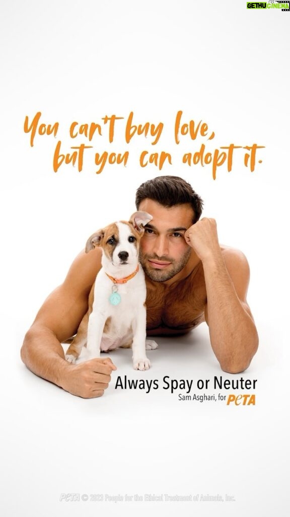 Sam Asghari Instagram - Actor @samasghari says Some Loves Last…adopt, don’t shop! 🐶 We’re collabing with the star to show you that the perfect addition to your family shouldn’t come from a breeder.