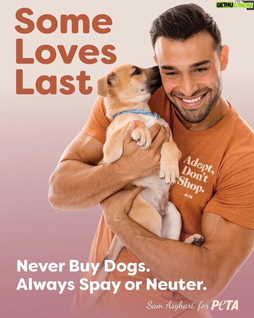 Sam Asghari Instagram - You can’t buy love! Lucky enough, actor @samasghari is showing the world that millions of dogs & cats are looking to be adopted into loving forever homes 🐶🐱🏠 Photographer 📸 Charlie Nunn Creative Director ✨ Greg Garry