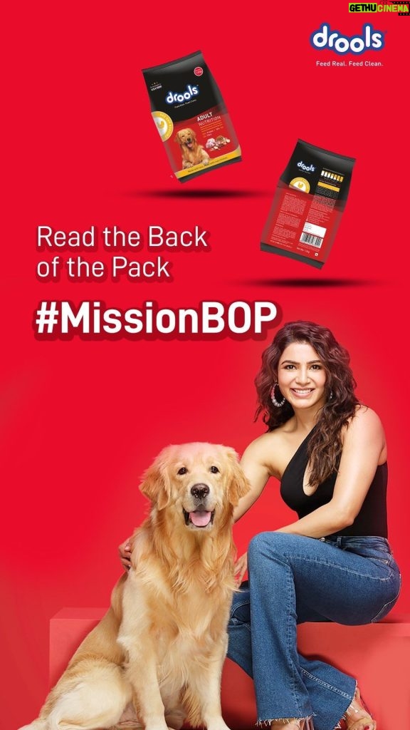 Samantha Instagram - Listen up, pet parents! Superstar Popcorn, Drools & I have a friendly reminder for you! 🕶️ 🐶 Keep an eye on the back of your pet’s food pack to know what’s inside their food & make sure they’re getting only real goodness and no byproducts. Join the Drools #MissionBOP & take part in the #ReadtheBackofPack Challenge to win a FREE International trip! 🐾 Hurry! Contest ends soon #Drools #MissonBOP #ReadtheBackofPackChallenge #Contest #FeedRealFeedClean #PetFood #PetParents #Pets #NoByProducts #Contest #Ad