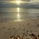 Sanaa Lathan Instagram - Had the most breathtaking week at the @drjoedispenza meditation retreat in Playa del Carmen, Mexico. It was a truly soulful and deeply purifying experience in the most gorgeous setting. @tamietran and I had major revelations, breakthroughs & made some great new friends. And to top it off, on the way back, @drjoedispenza happened to be sitting next to me on the plane! So sorry Dr. Joe for not letting you sleep, and thank you for being so generous answering all my questions. 😅🙏🏾 Playa del Carmen, Quintana Roo