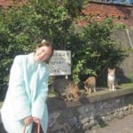Sananthachat Thanapatpisal Instagram – Meaowwww 🐱🐱🐱🐱 Huotong Cat Village, Taiwan