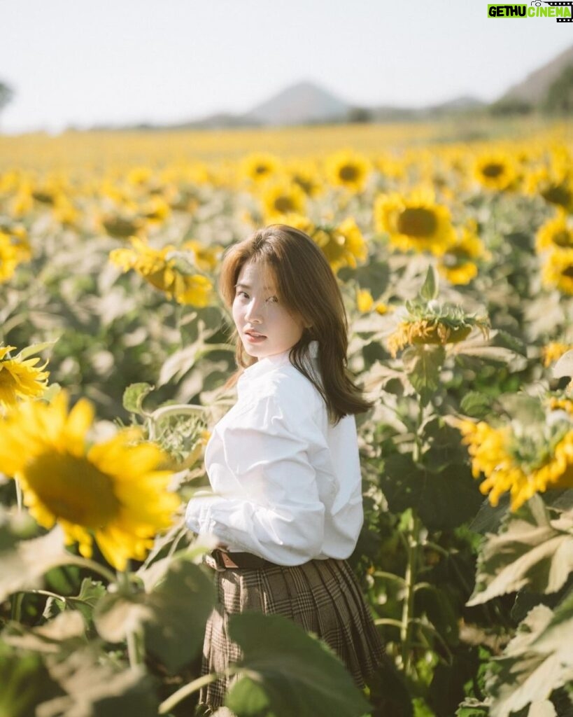 Sananthachat Thanapatpisal Instagram - Always look on the bright side of life. 🌼☺️ . 📷 @ixnore