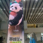 Sandara Park Instagram - Photo dump