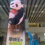 Sandara Park Instagram - Photo dump