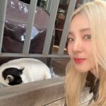 Sandara Park Instagram - 이제 11월이니까 어그 신어야지🍂🍁🔜❄️☃️