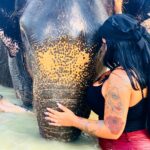 Sarah Fraisou Instagram - 🐘“Les éléphants, comme les femmes, n'oublient jamais une blessure’’ #thailande #sun #picoftheday #2019 #elephant #life #animals Green Elephant Sanctuary Park Phuket