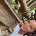 Sarah Fraisou Instagram - Safari trip 🦁#pictureoftheday #animals #senegal🇸🇳 #rek #teranga Saly,Senegal