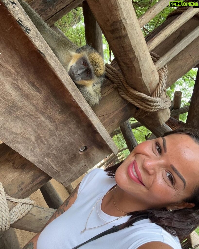 Sarah Fraisou Instagram - Safari trip 🦁#pictureoftheday #animals #senegal🇸🇳 #rek #teranga Saly,Senegal